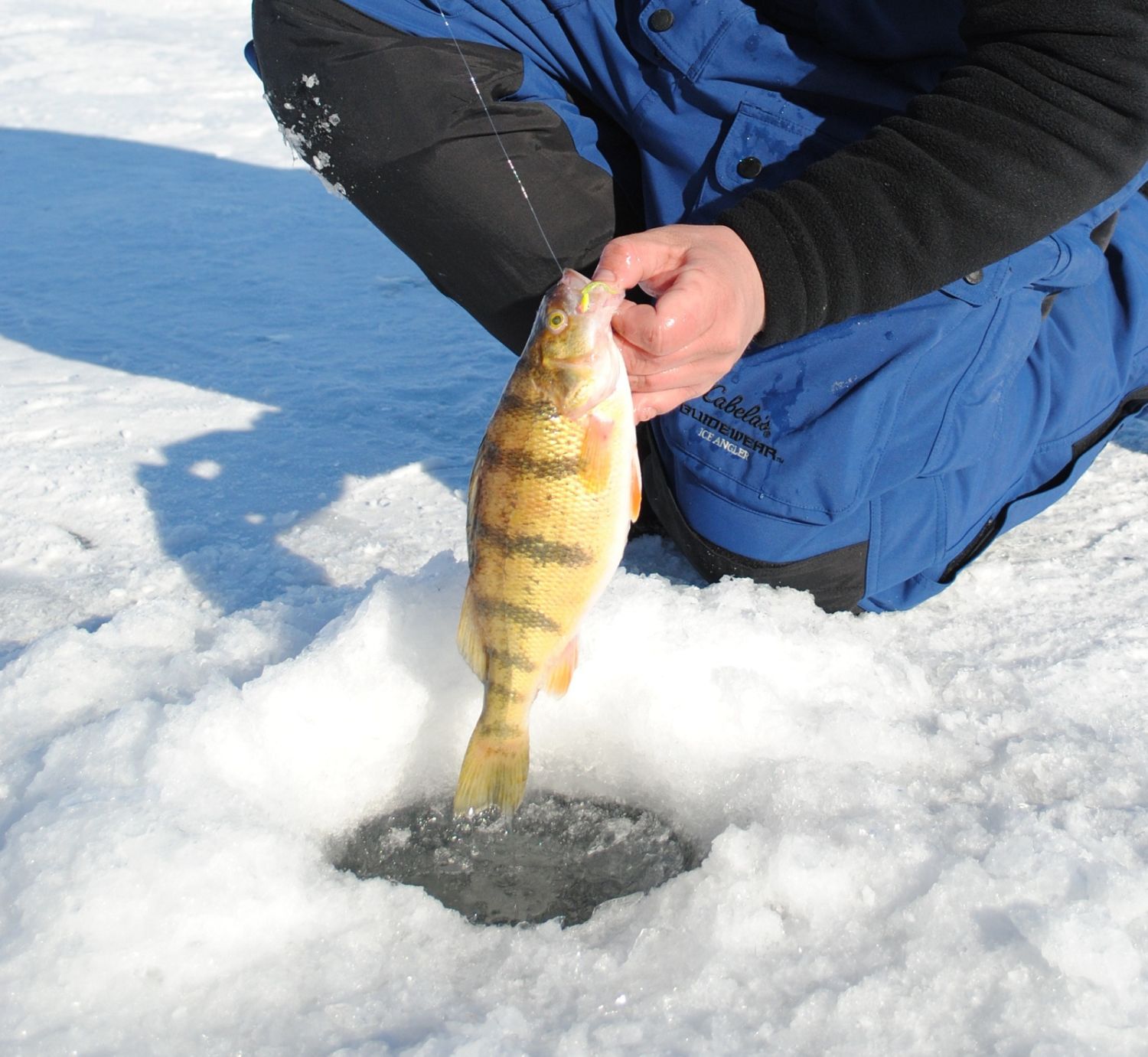 Kids Ice Fishing Derby/Clinic